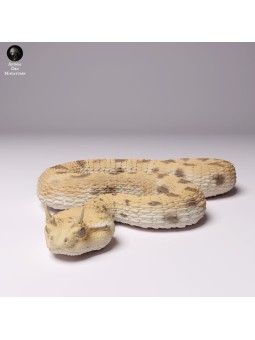 Horned viper