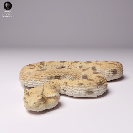 Horned viper