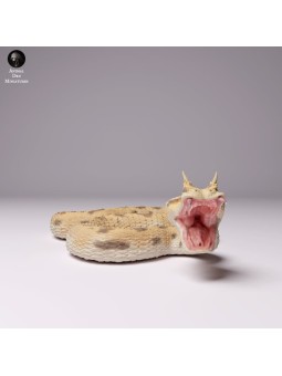 Víbora cornuda atacando