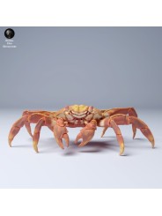 Cangrejo en Miniatura para Escenas y Dioramas