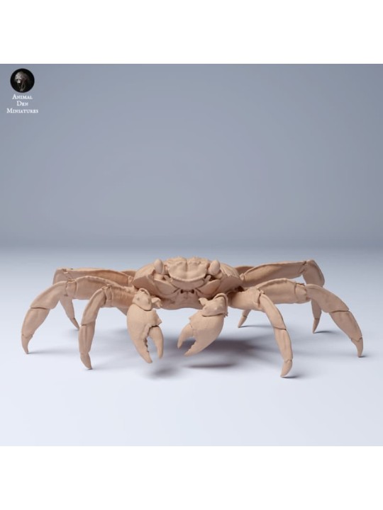 Cangrejo en Miniatura para Escenas y Dioramas