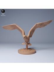 Piquero de patas azules volando