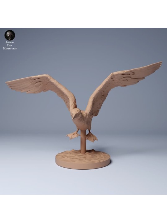 Piquero de patas azules volando