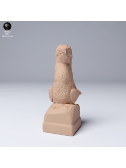 Bust of a blue-footed booby