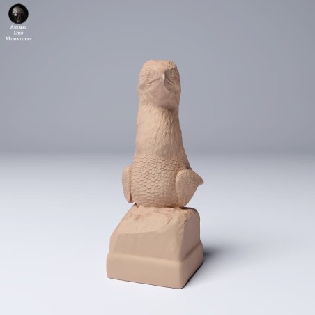 Busto Piquero de patas azules