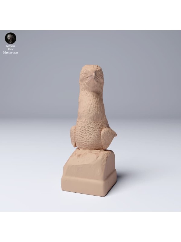 Busto Piquero de patas azules