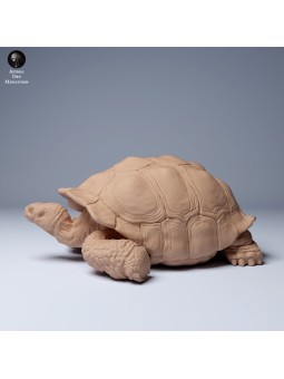 Tortuga gigante de las Galápagos descansando