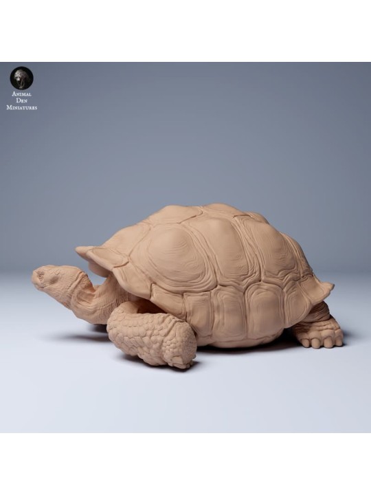 Tortuga gigante de las Galápagos descansando