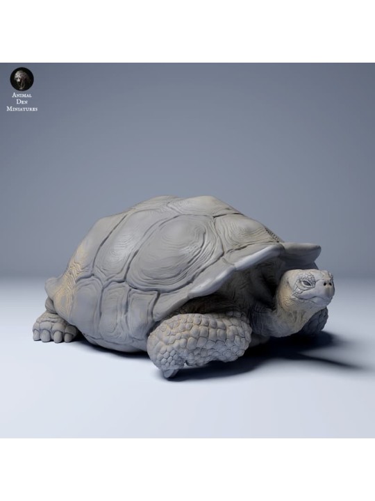 Tortuga gigante de las Galápagos descansando