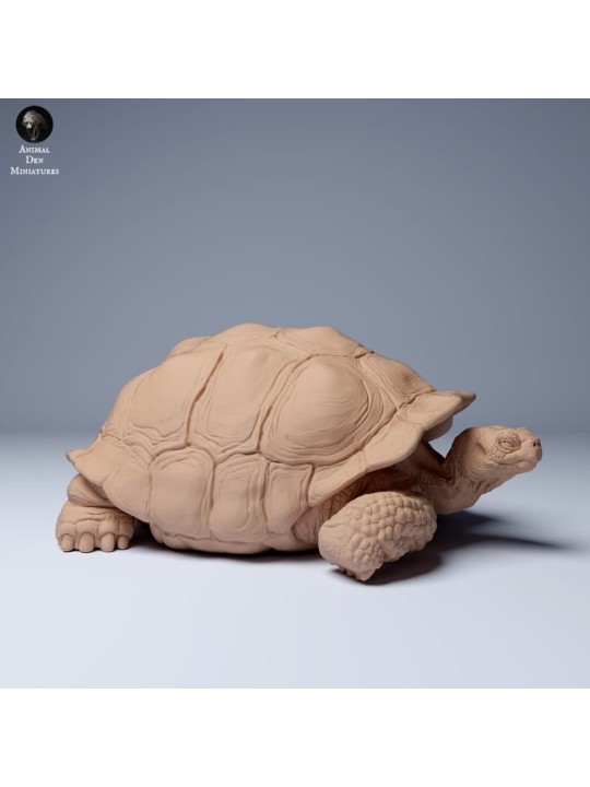 Tortuga gigante de las Galápagos descansando