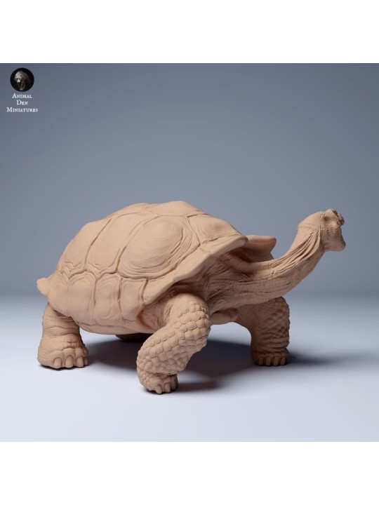 Tortuga gigante de las Galápagos agresiva