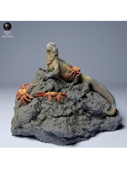 Iguana marina con cangrejos