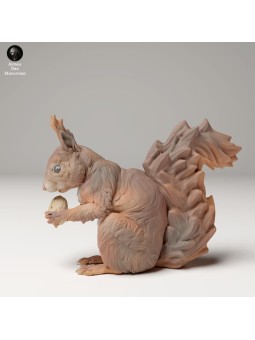 Ardilla en Miniatura para Escenas y Dioramas