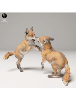 Cachorros de zorro rojo jugando