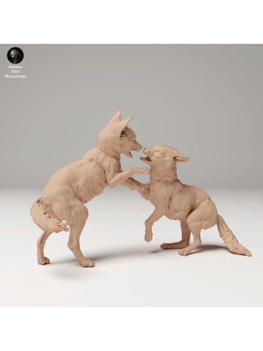 Cachorros de zorro rojo jugando