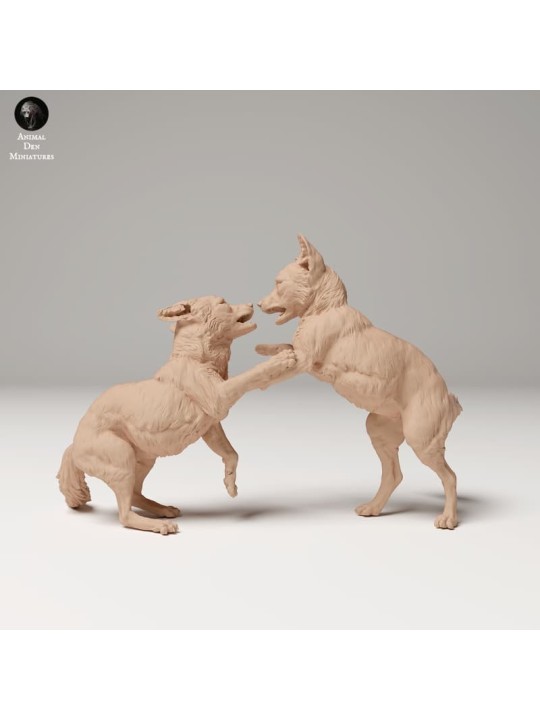 Cachorros de zorro rojo jugando