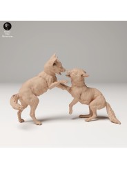 Cachorros de zorro rojo jugando