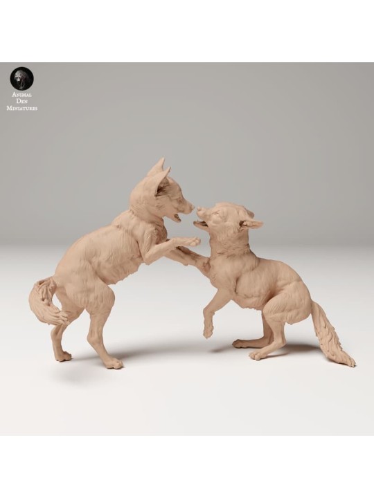 Cachorros de zorro rojo jugando