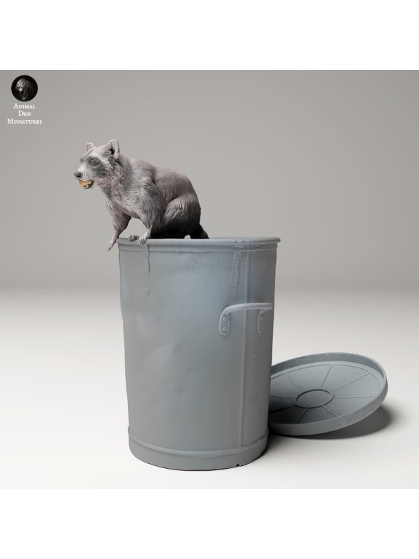 Raccoon coming out of garbage