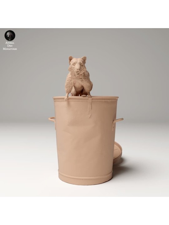 Raccoon coming out of garbage