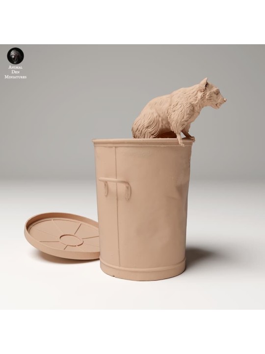 Raccoon coming out of garbage