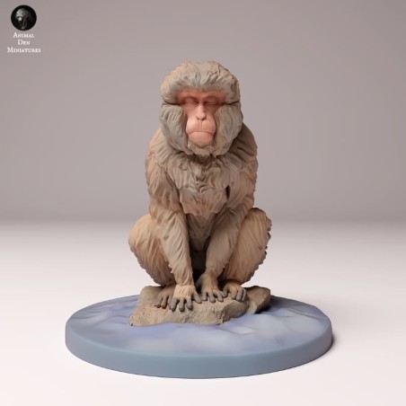 Snow monkey sitting