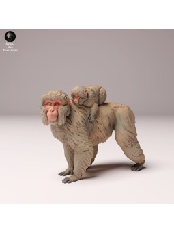 Snow monkey with baby