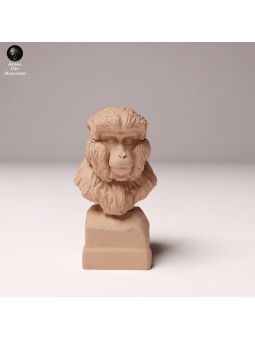 Busto mono de la nieve