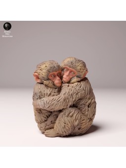 Crias de mono de la nieve