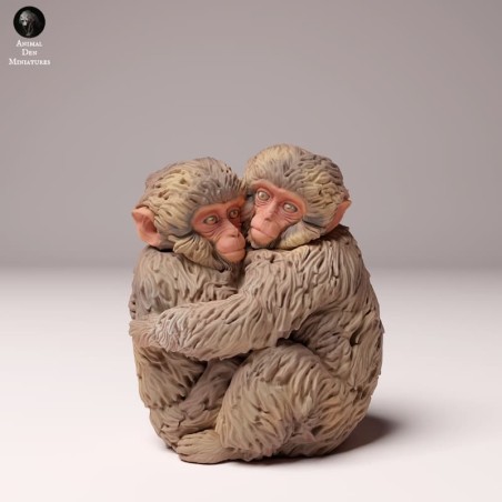 Crias de mono de la nieve