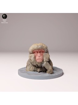 Baño de mono de la nieve