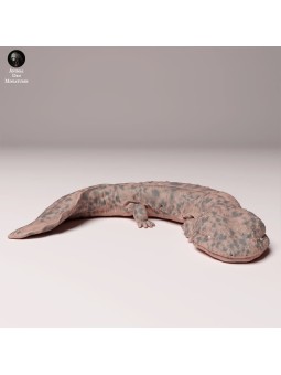 Japanese giant salamander