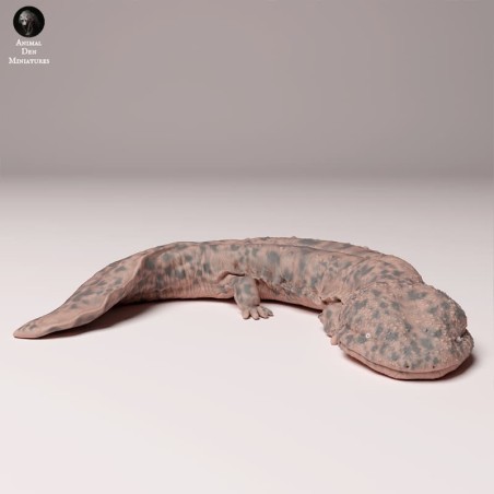 Japanese giant salamander