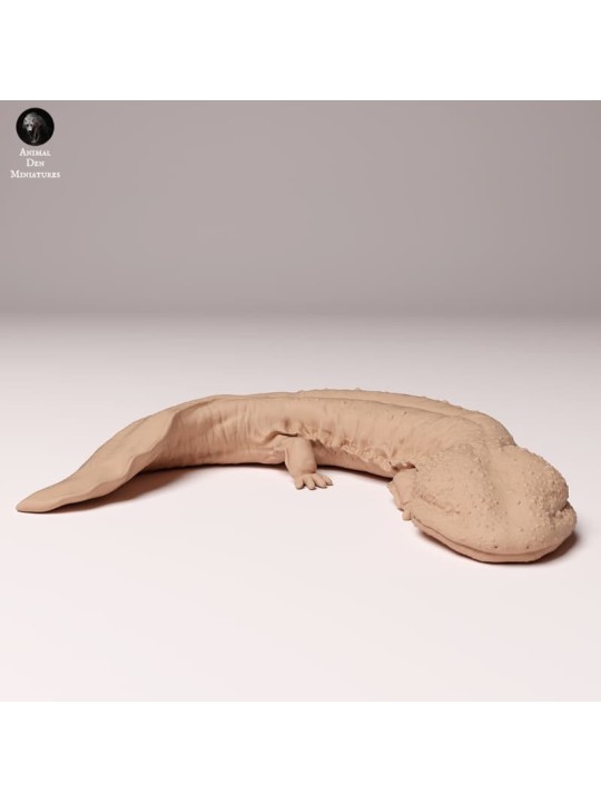 Salamandra gigante japonesa