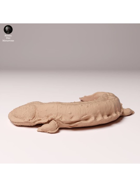 Salamandra gigante japonesa