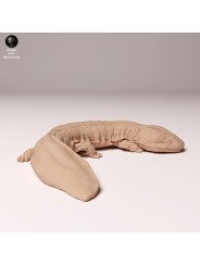 Salamandra gigante japonesa