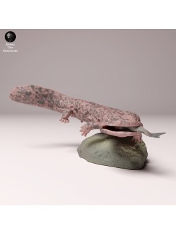 Salamandra gigante japonesa pescando