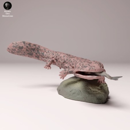 Salamandra gigante japonesa pescando