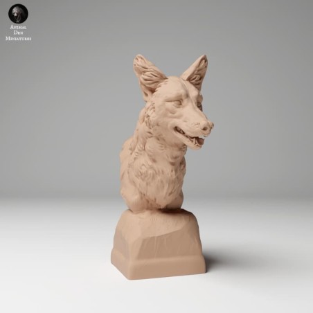 Coyote bust