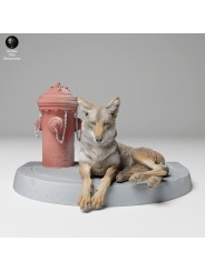 Coyote resting next to a fire hydrant