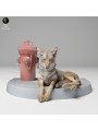 Coyote descansando junto boca incendio