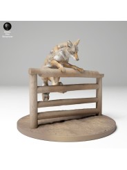 Coyote saltando verja