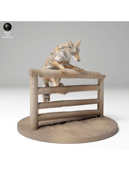 Coyote saltando verja