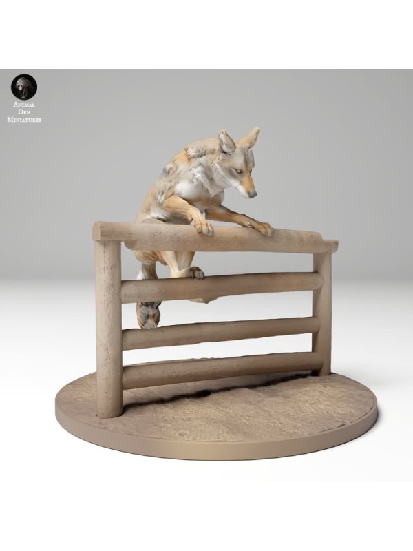 Coyote saltando verja