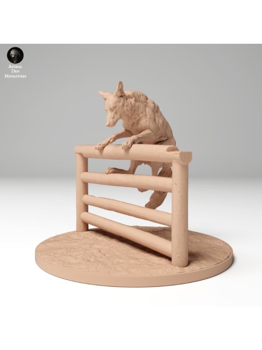 Coyote saltando verja