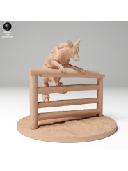 Coyote saltando verja