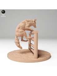 Coyote saltando verja