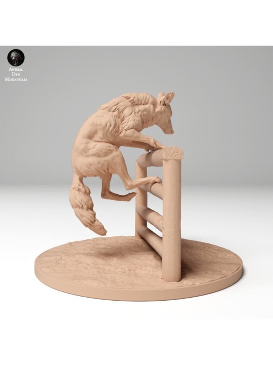 Coyote saltando verja