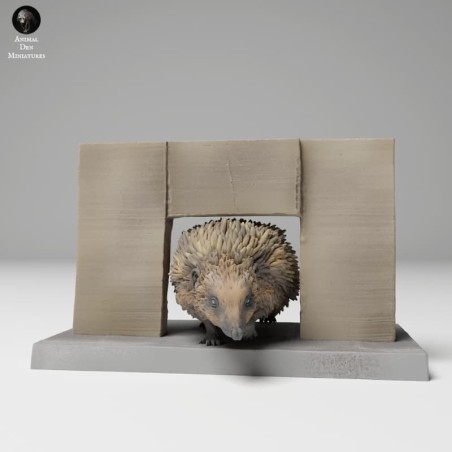 Hedgehog passing through door