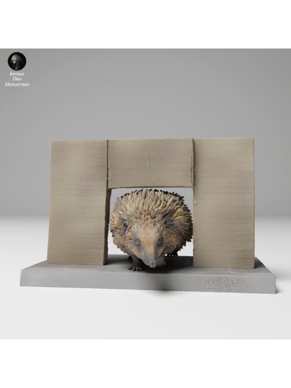 Hedgehog passing through door